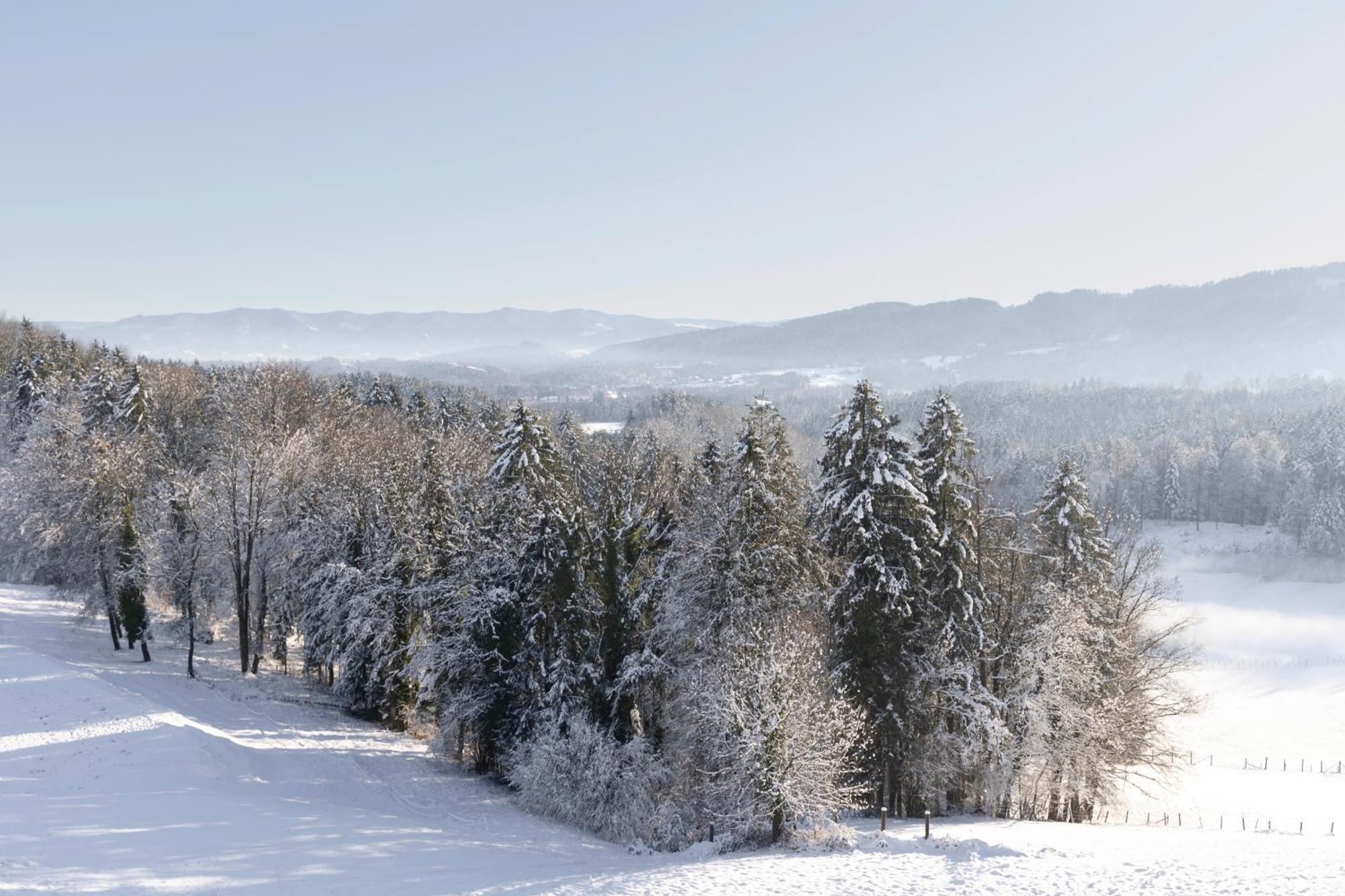 Boutiquehotel Das Zeitwert Deutschlandsberg Exteriér fotografie